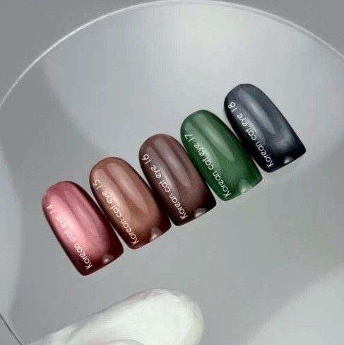 Гель-лак котяче око коричневий Nailsoftheday Korean cat eye 16, 10 мл