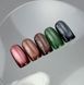 Гель-лак котяче око коричневий Nailsoftheday Korean cat eye 16, 10 мл